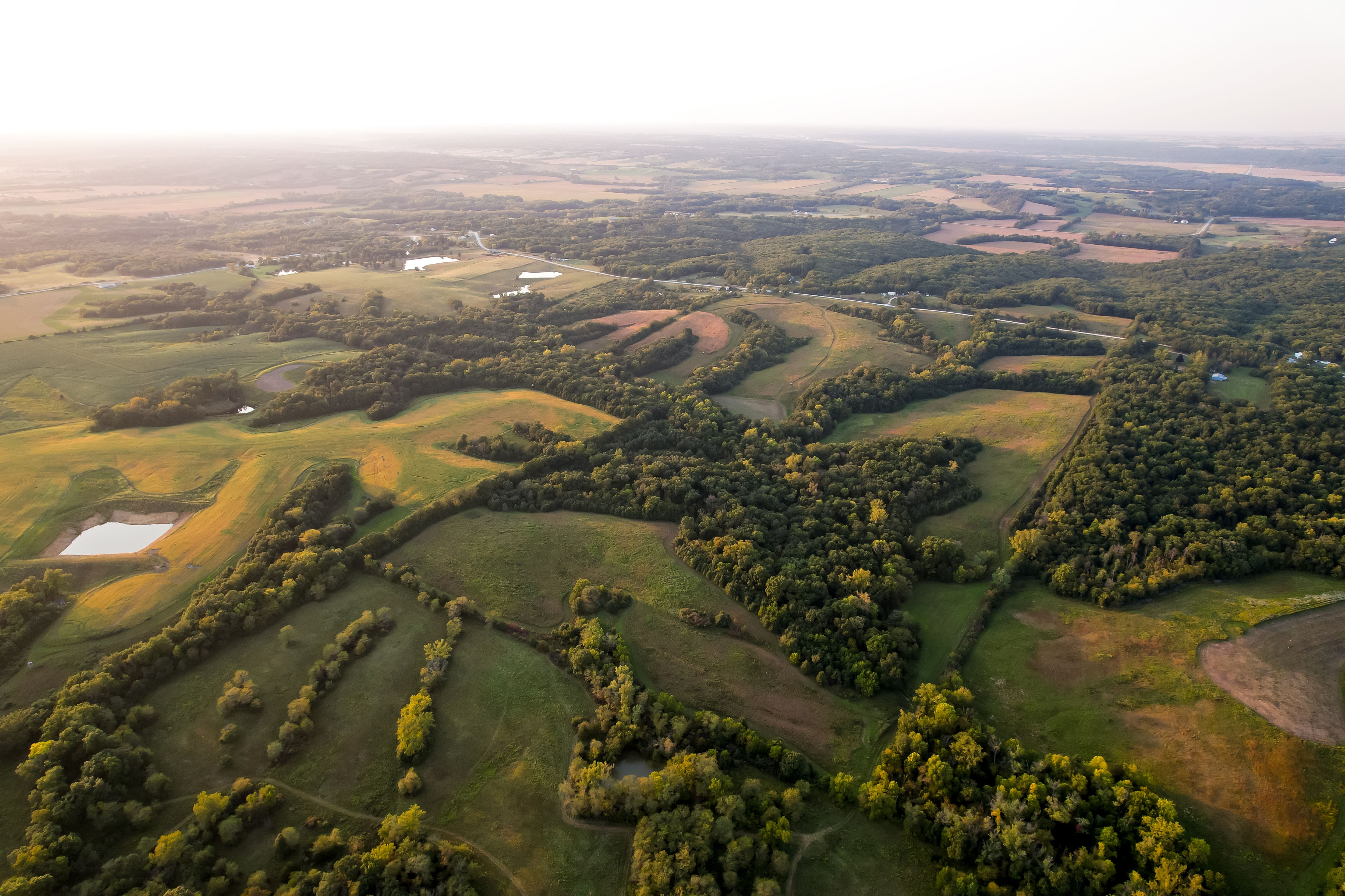 Listing Photo: Photo Sep 10 2025, 6 48 15 PM